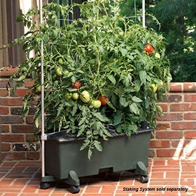 EarthBox 80151 reservoir highlights 3-gallon water capacity for steady plant hydration.