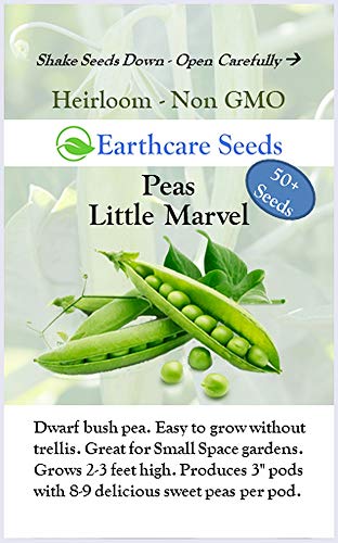 Earthcare Seeds Little Marvel plant thriving in a garden bed.