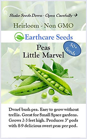 Earthcare Seeds Little Marvel plant thriving in a garden bed.