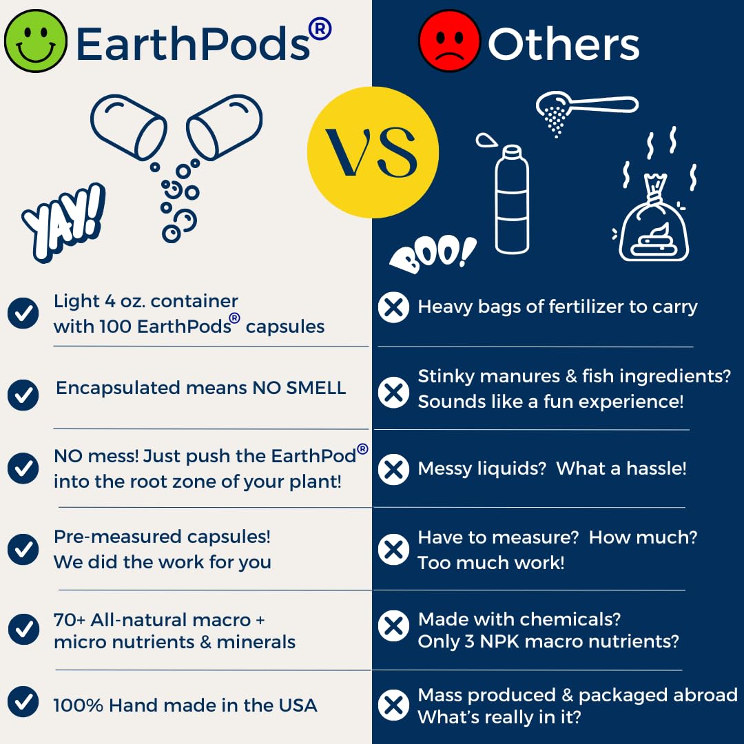 Eco-friendly recyclable packaging minimizes single-use waste