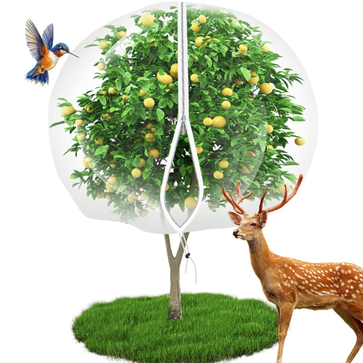 EaseInstall 10x12 fruit tree netting with drawstring protects fruit from pests.