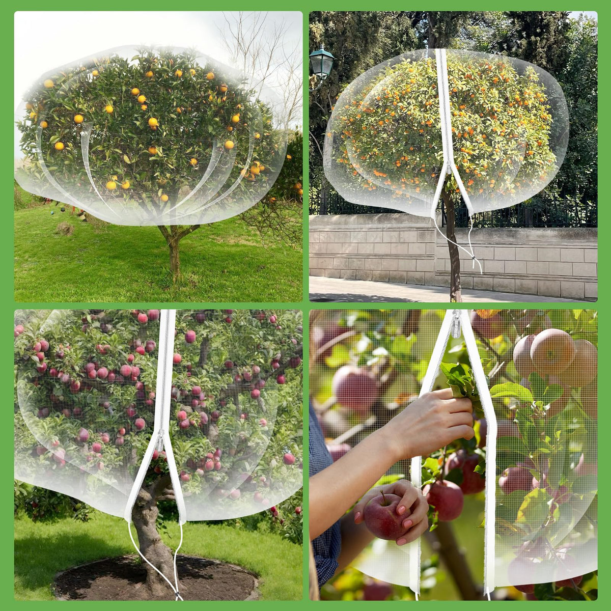 Three size options fit large citrus and fruit trees like apples and pears.