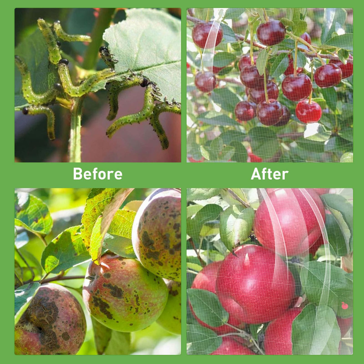 Ultra-fine mesh blocks pests while letting light through for healthy fruit.