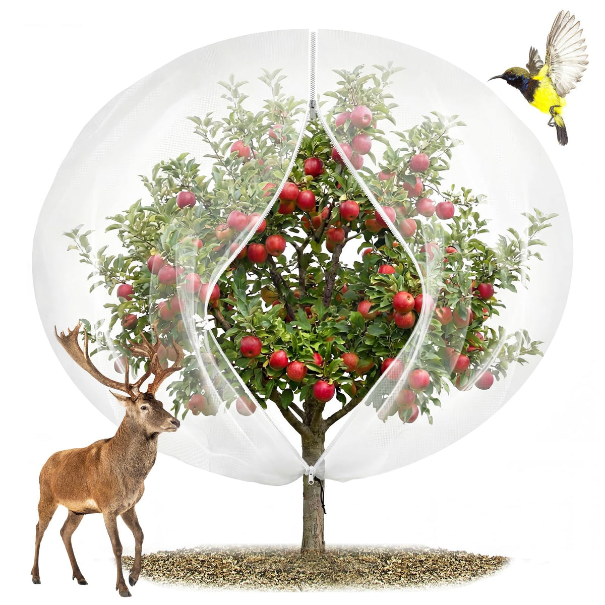 EaseThrift fruit tree netting 15x15ft covering a large tree for pest protection