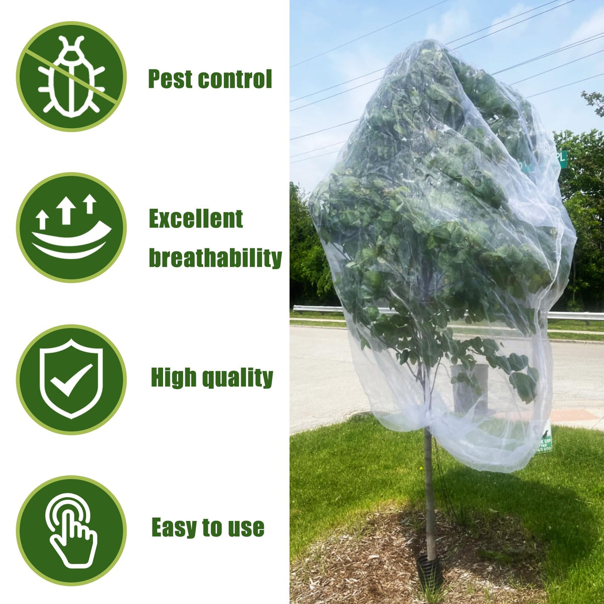 See-through netting allows sunlight while protecting fruit trees from pests