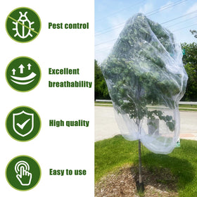 See-through netting allows sunlight while protecting fruit trees from pests