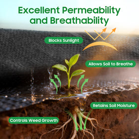EasyGrowth heavy-duty polypropylene fabric provides durable ground cover for gardens.
