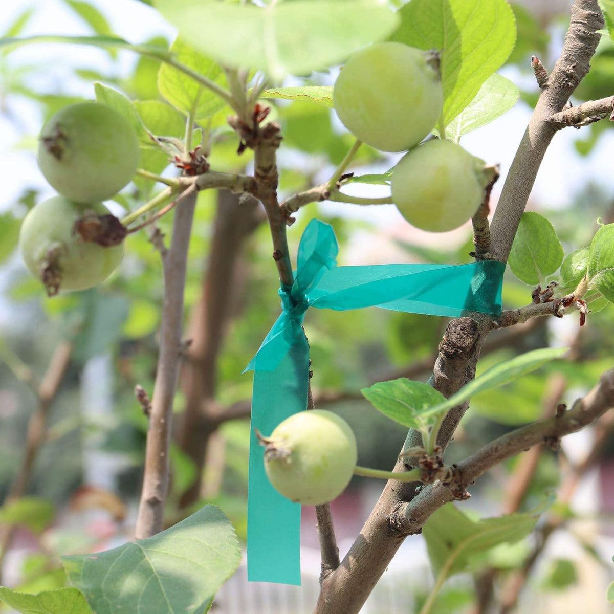 Easytle easy-adjustment-tape-in-action for quick garden tweaks.