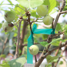 Easytle easy-adjustment-tape-in-action for quick garden tweaks.