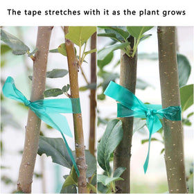 Easytle long-lasting-garden-tape-roll designed for outdoor plant use.