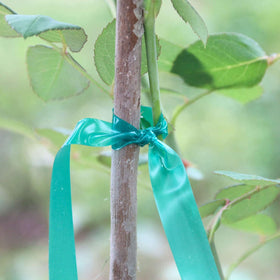 Easytle non-sticky-tie-tape friendly to delicate stems.