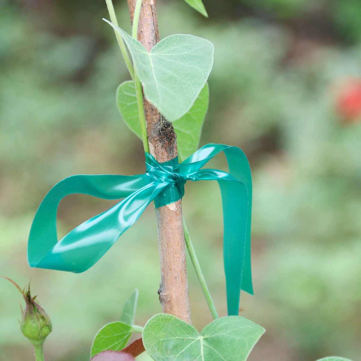 Easytle secure-flowers-vegetables-tapes supports a variety of plants.