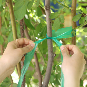 Easytle tape providing adjustable support for climbers and perennials