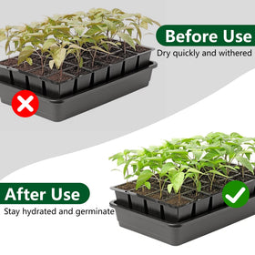 EBaokuup replacement pads fit 24 cell seed starter kits without trimming