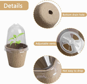 EBaokuup biodegradable pots made from recycled pulp for sustainable gardening.