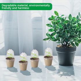 Biodegradable pulp pots ease transition from starter to soil for herbs and flowers.