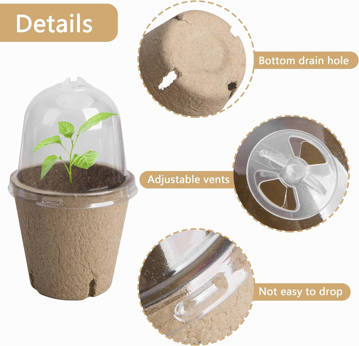 EBaokuup 3.1 inch pots with drainage holes ensure balanced moisture