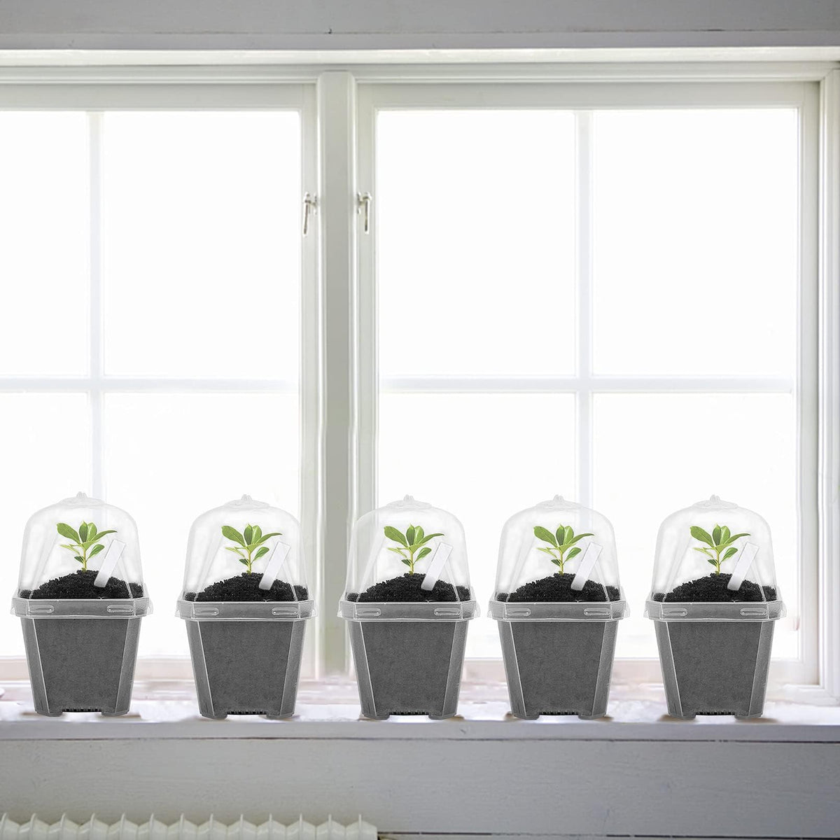 EBaokuup BPA-free plastic seed starter is safe and reusable
