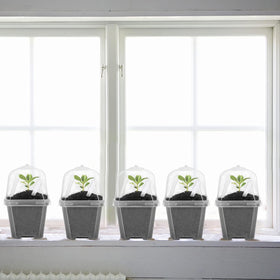 EBaokuup BPA-free plastic seed starter is safe and reusable