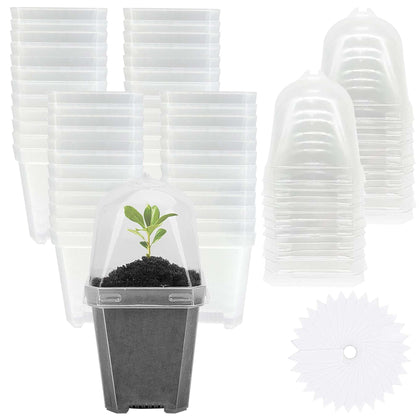 EBaokuup clear nursery pot with humidity dome supports seed germination