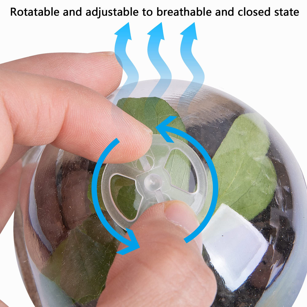 Drainage holes promote proper moisture balance for healthy roots in EBaokuup pots.