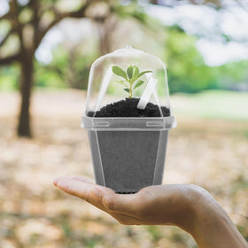 EBaokuup humidity dome lid maintains humidity for steady germination