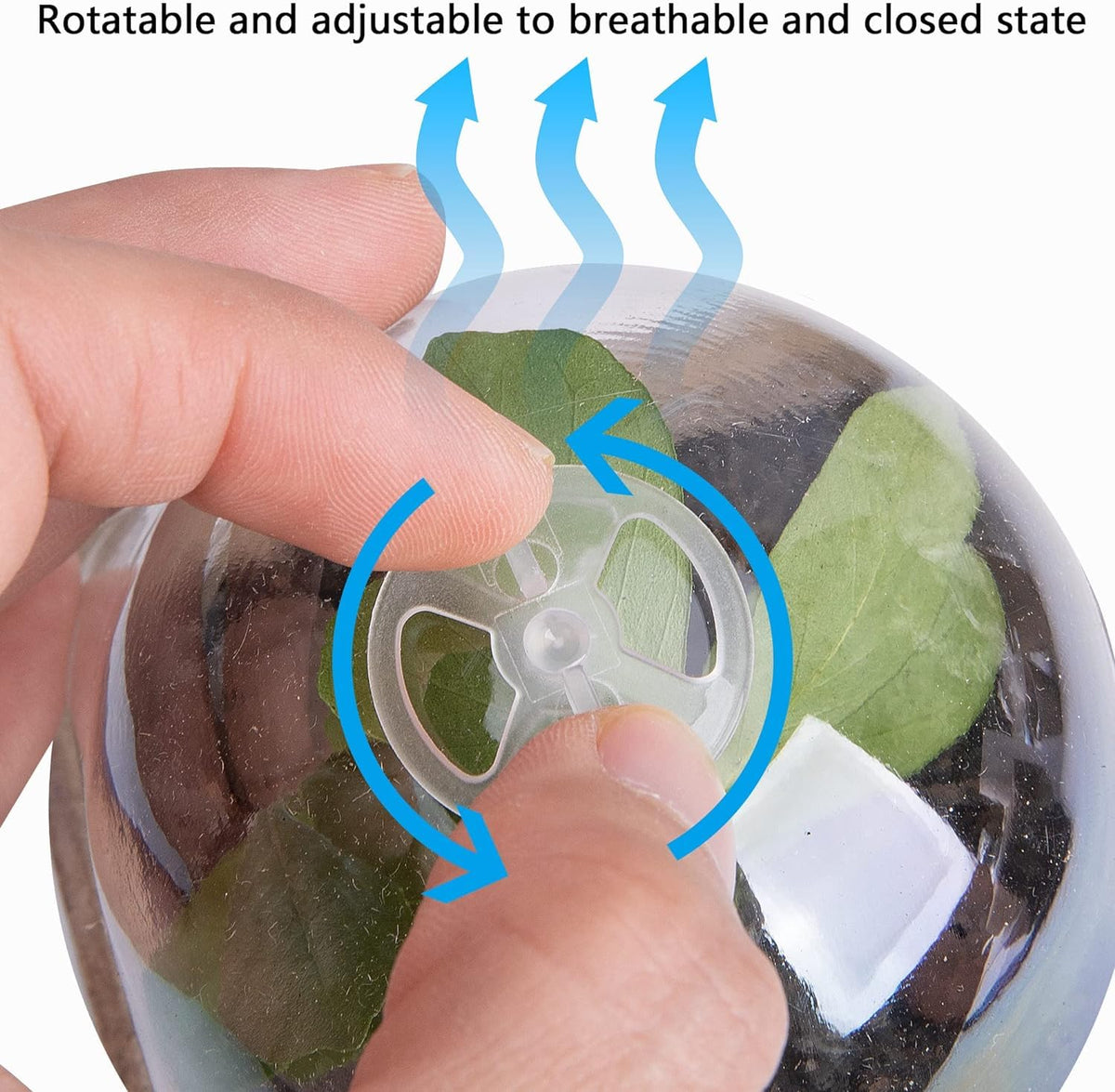 EBaokuup transparent humidity dome helps observe seedling development
