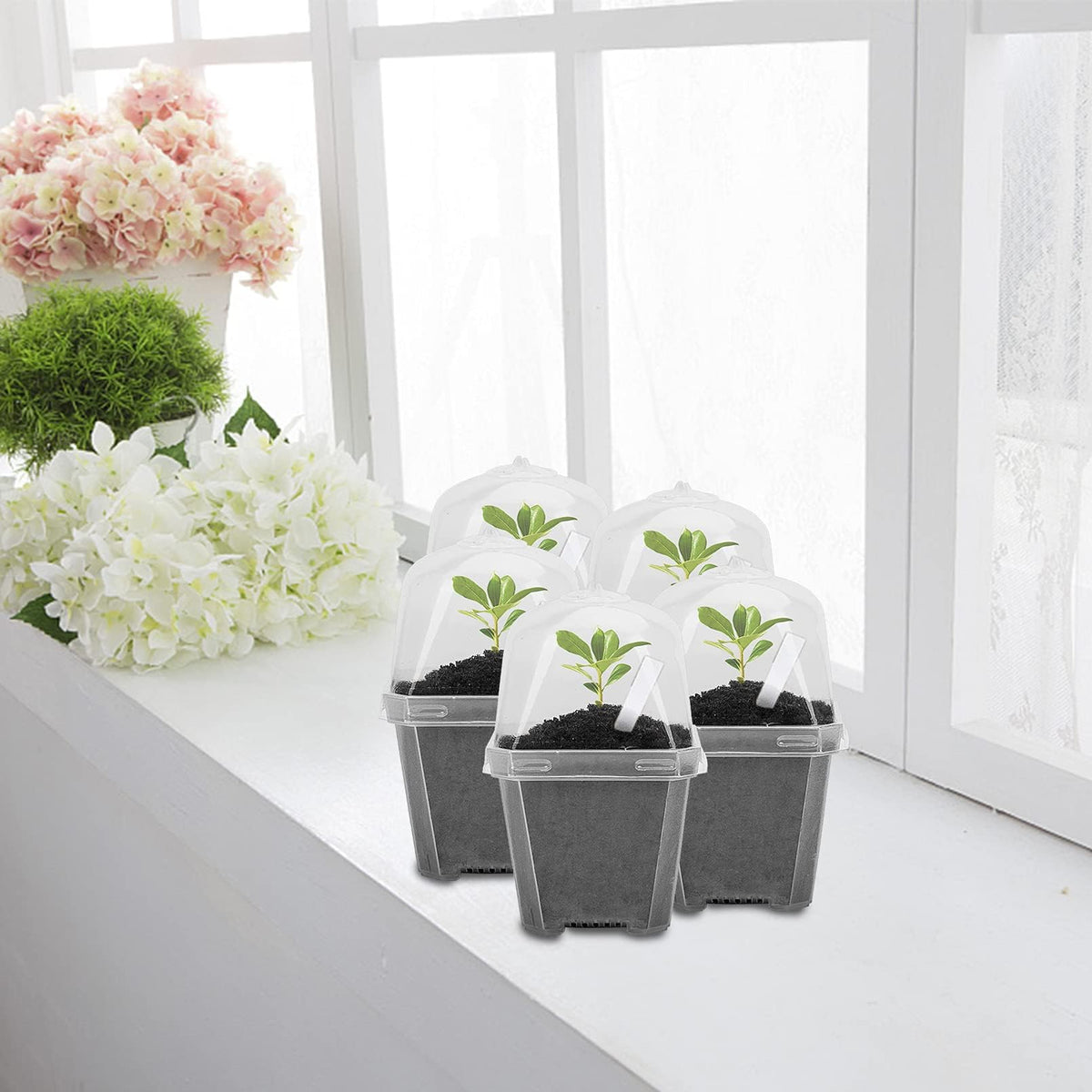EBaokuup mini pots suit succulents and small indoor plantings