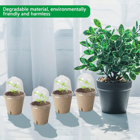 EBaokuup seedling pots simplify garden transitions with minimal transplant shock