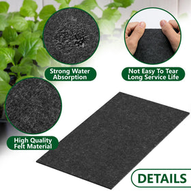 Self-watering capillary mats reduce daily watering tasks for indoor seedlings.