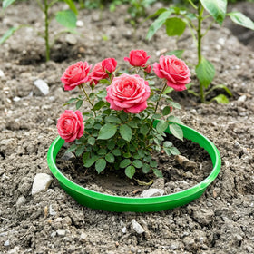 EBaokuup rose bush ring installed protects stems from mower damage