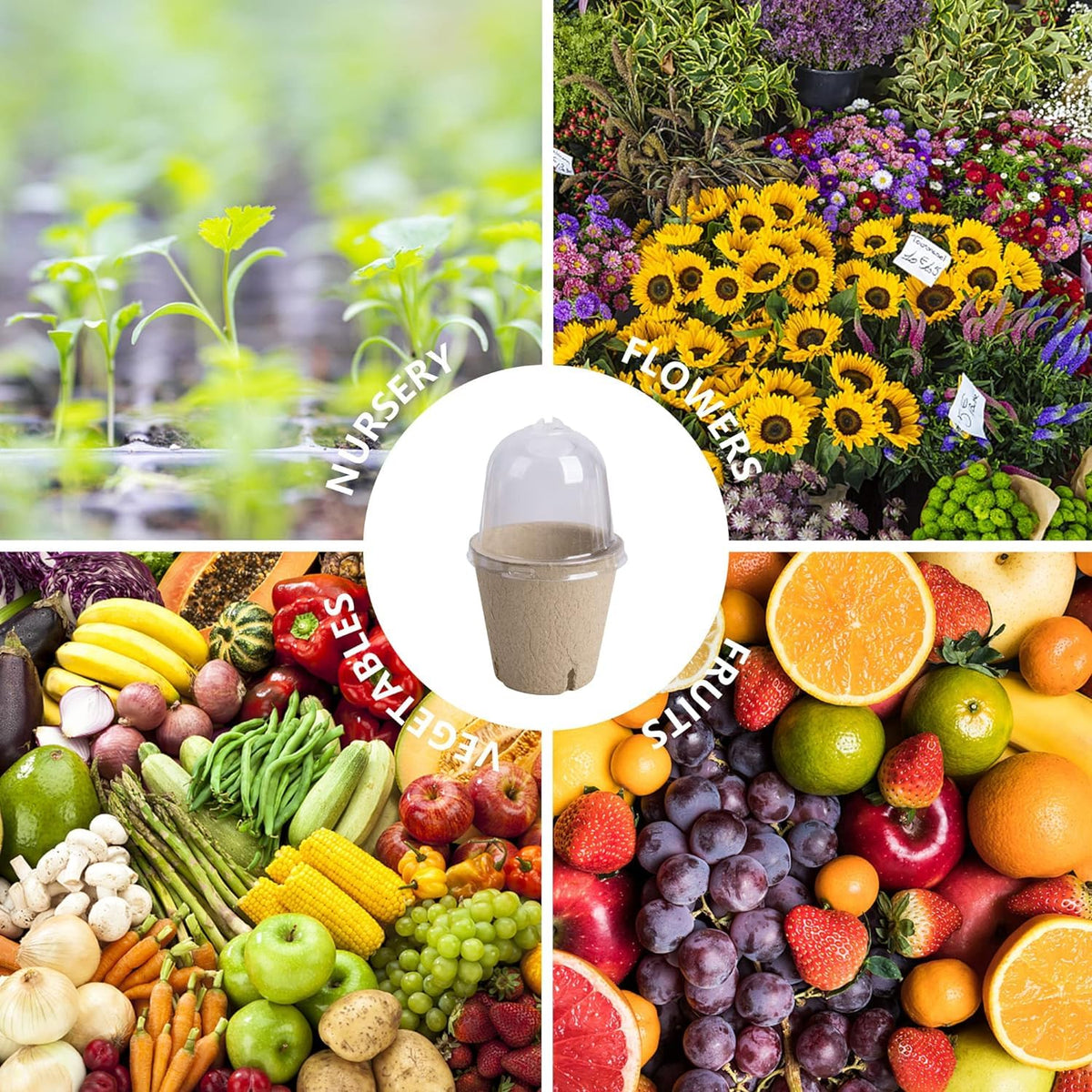 EBaokuup 40 piece set ideal for starting flowers herbs vegetables