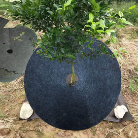 EBaokuup ring used in vegetable patch for weed suppression
