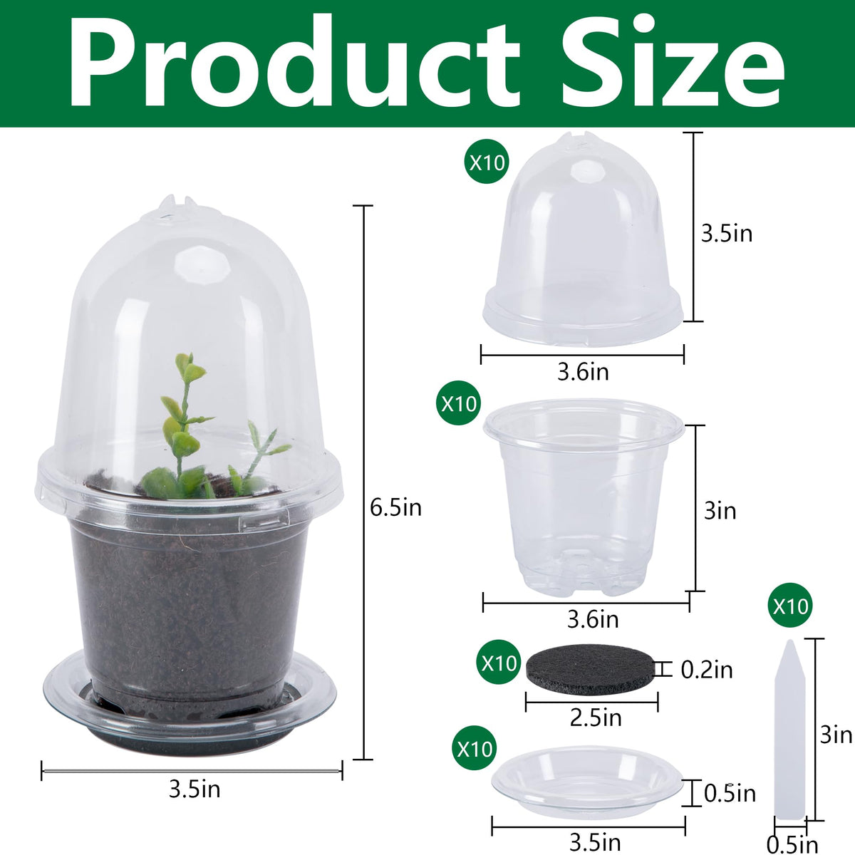 EBaokuup humidity dome closeup enhances humidity control for sprouting seeds.