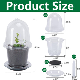 EBaokuup humidity dome closeup enhances humidity control for sprouting seeds.