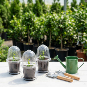EBaokuup labels help you track varieties in each seedling pot.
