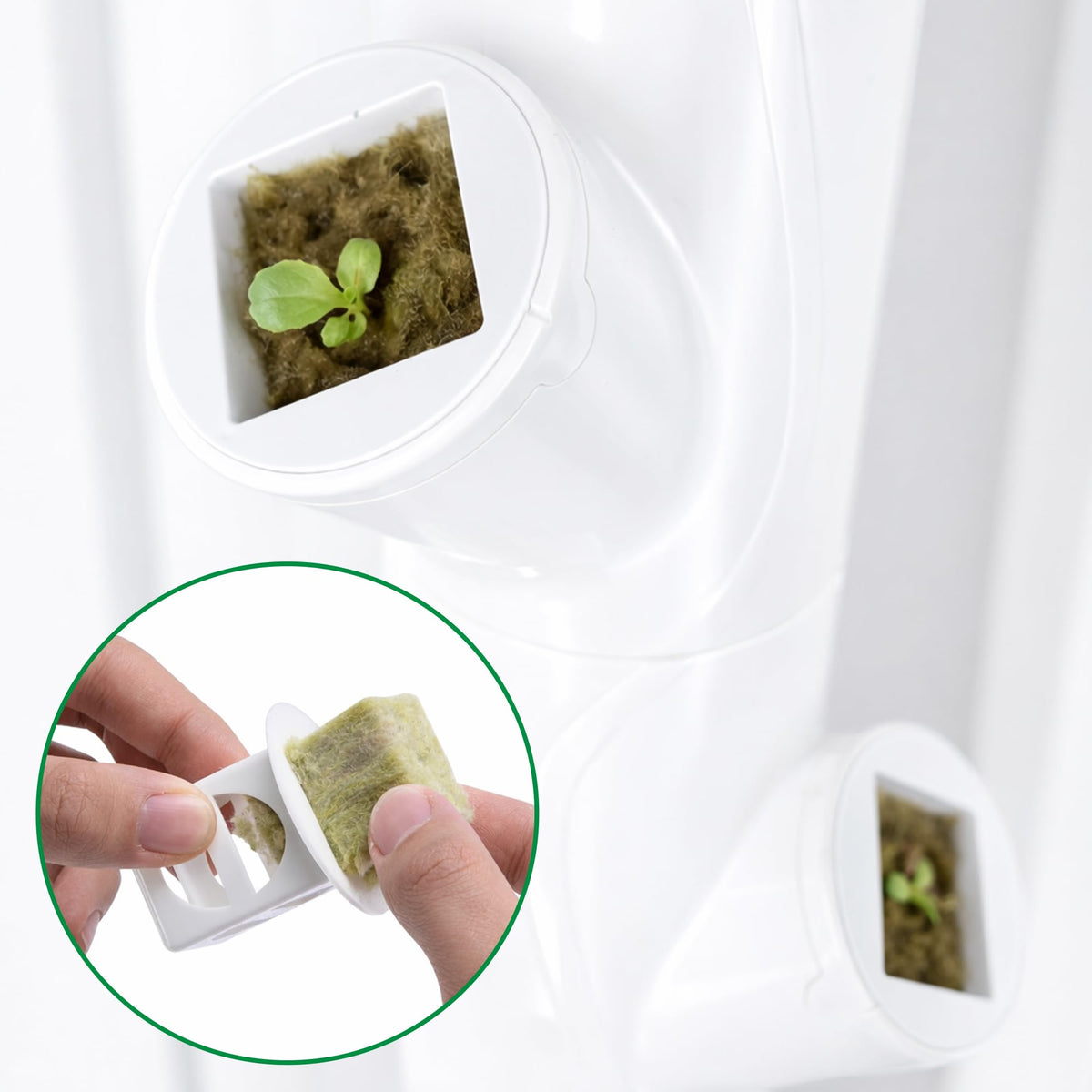 EBaokuup cups support easy seedling transfer between systems.