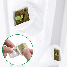 EBaokuup cups support easy seedling transfer between systems.