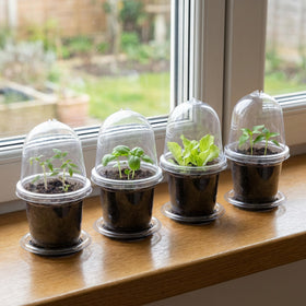 EBaokuup ten-pack seedling pots collection ready for quick setup.