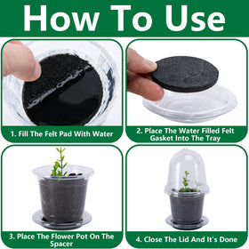 EBaokuup transparent seedling cup shows root growth through clear plastic.