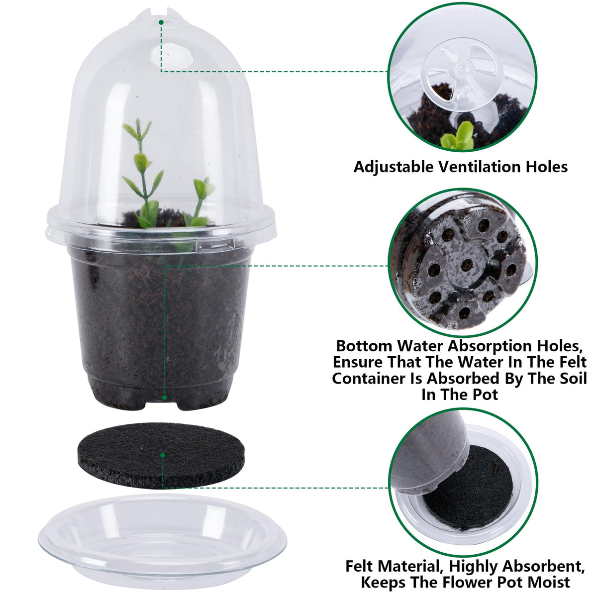 EBaokuup water-absorbing pad inside tray supports steady water delivery.