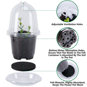 EBaokuup water-absorbing pad inside tray supports steady water delivery.