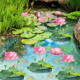 EBaokuup four square pots for versatile pond planting.