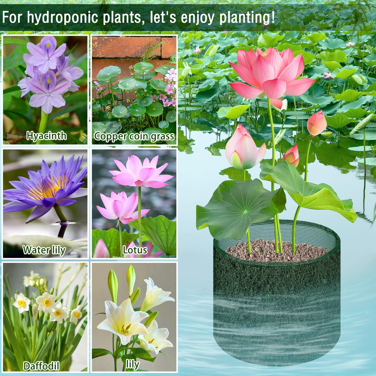 EBaokuup lily friendly pot suitable for water garden arrangements