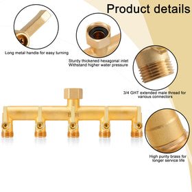 Each outlet has a gold-colored valve for precise water control.