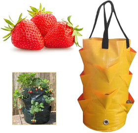 EBOCACB balcony garden idea hanging bag protects fruit from ground moisture.