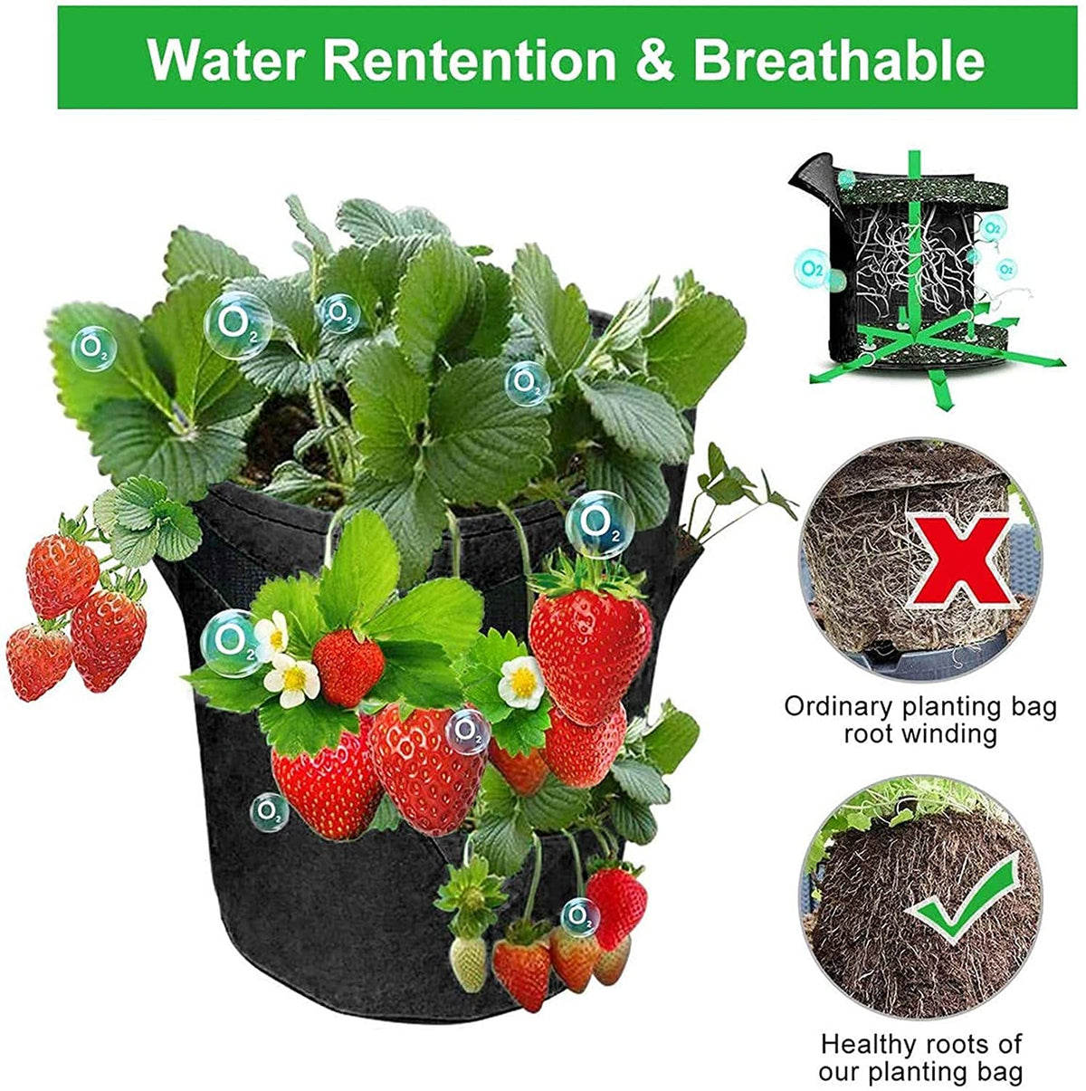 EBOCACB foldable grow bag ideal for space-saving storage when not in use.