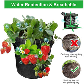 EBOCACB foldable grow bag ideal for space-saving storage when not in use.