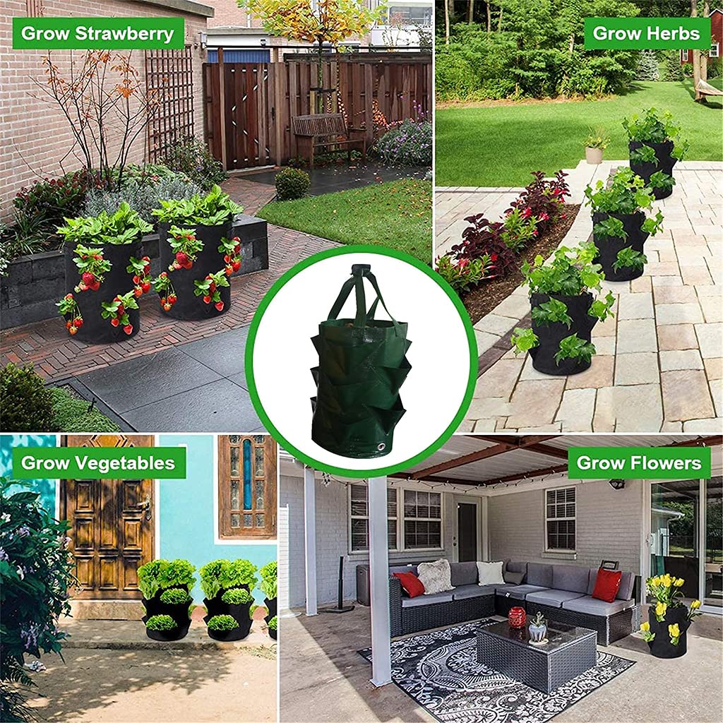 EBOCACB pockets design strawberry grow bag supports direct seed planting after ripening.
