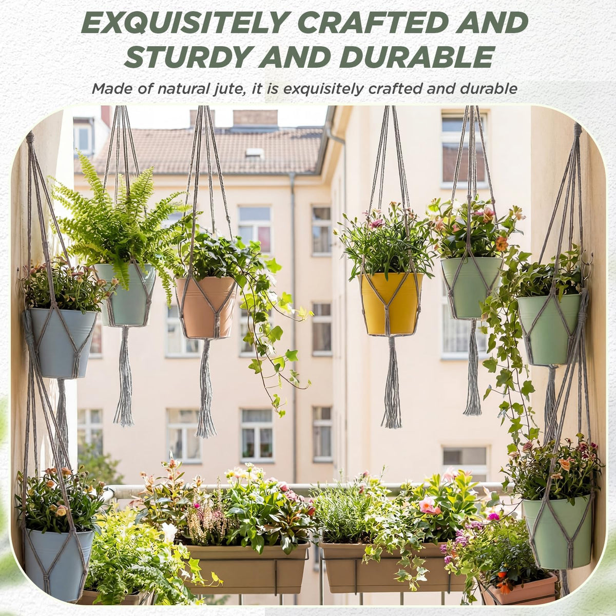 EBOOT four-leg centre pot arrangement demonstrates indoor display versatility.